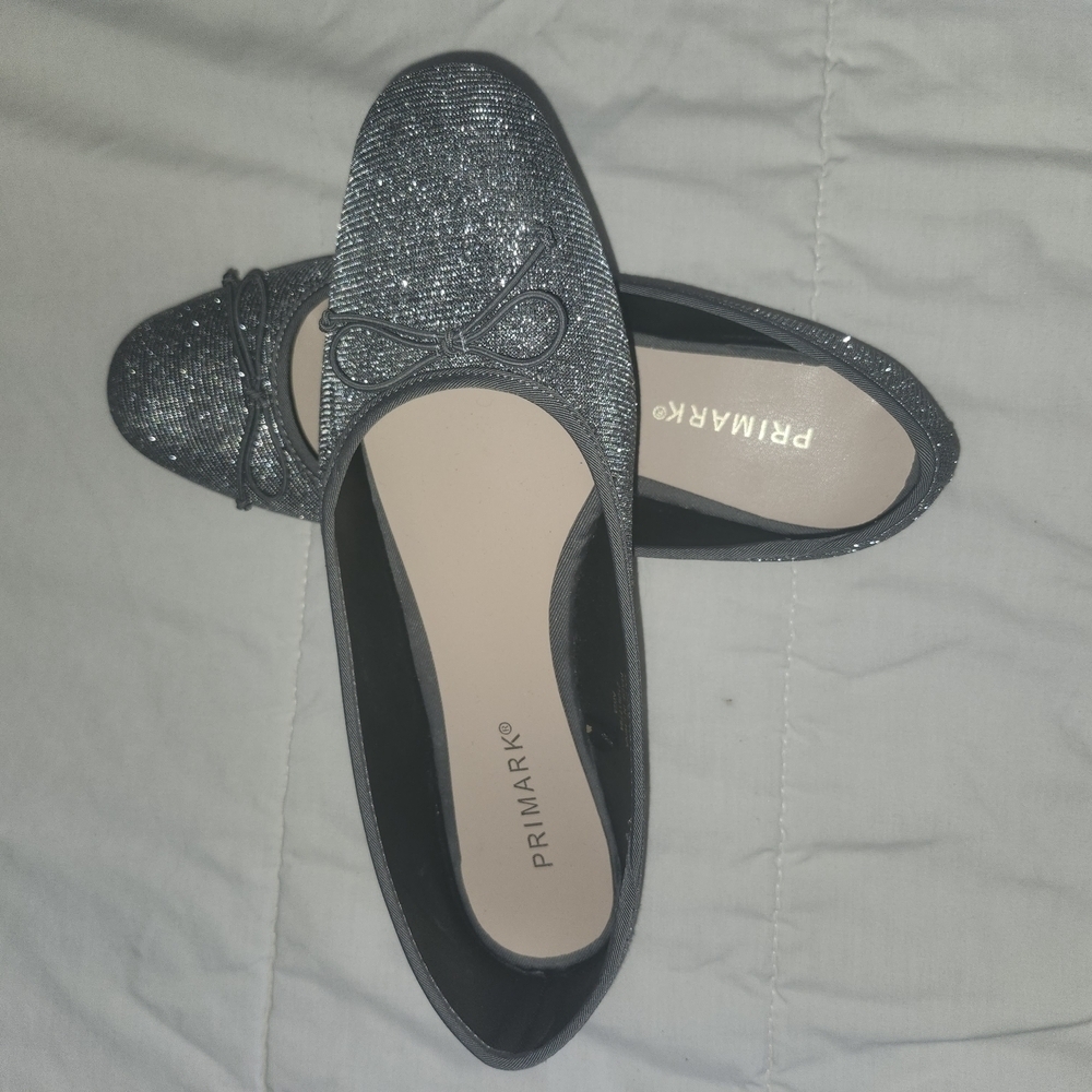 Ballet Flats Silver